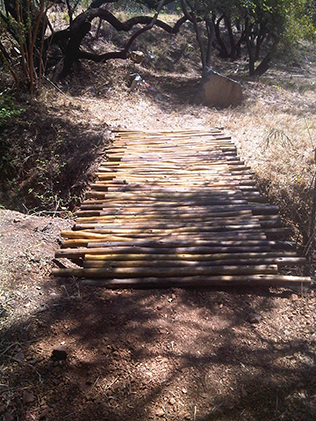 Wooden Bridges