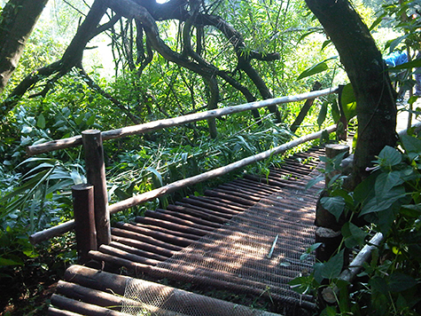 Wooden Bridges