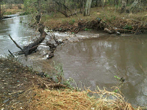 Cleaning of Rivers