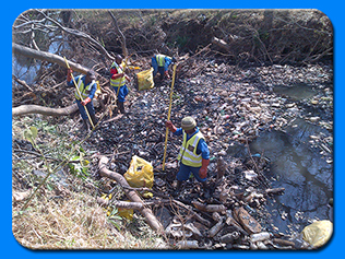 Water Clearing and Grubbing