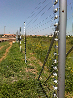 Electric Fencing