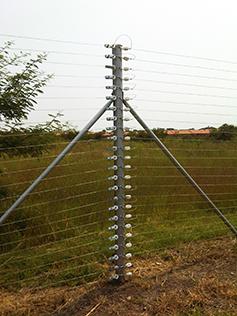 Electric Fencing