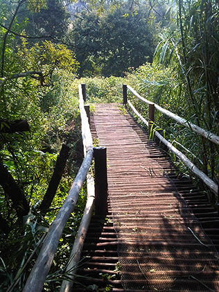 Wooden Bridges