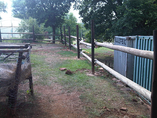 Horse Paddock Fencing