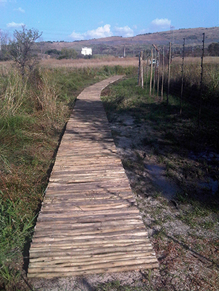 Foot Bridges