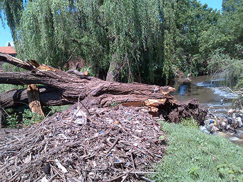 Cleaning of Dams